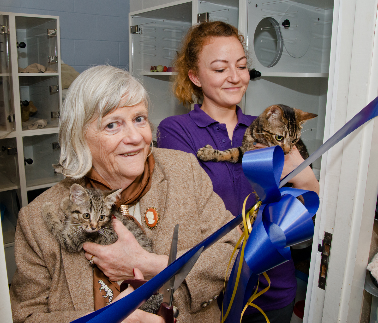 Kitten Room – Bleakholt Animal Sanctuary